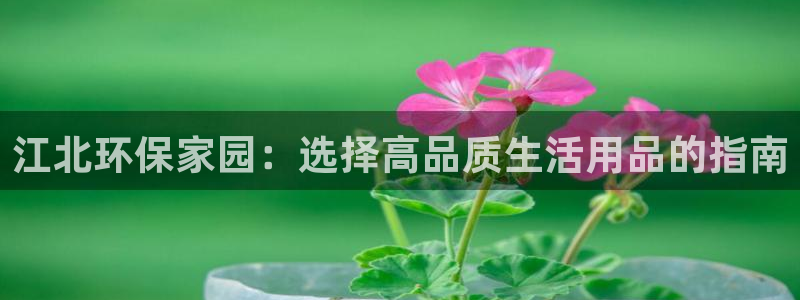 杏耀平台代理：江北环保家园：选择高品质生活用品的指南
